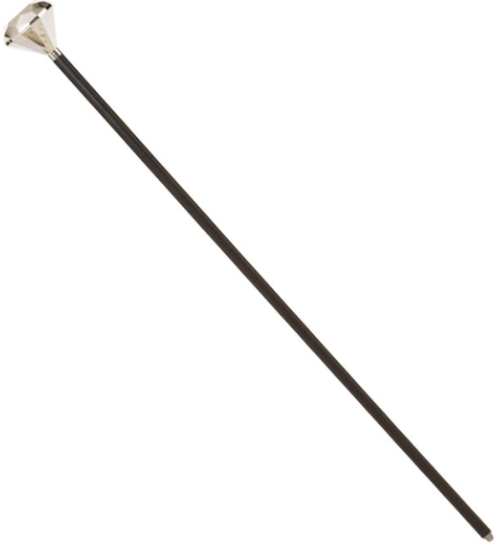 Spazierstock Gehstock