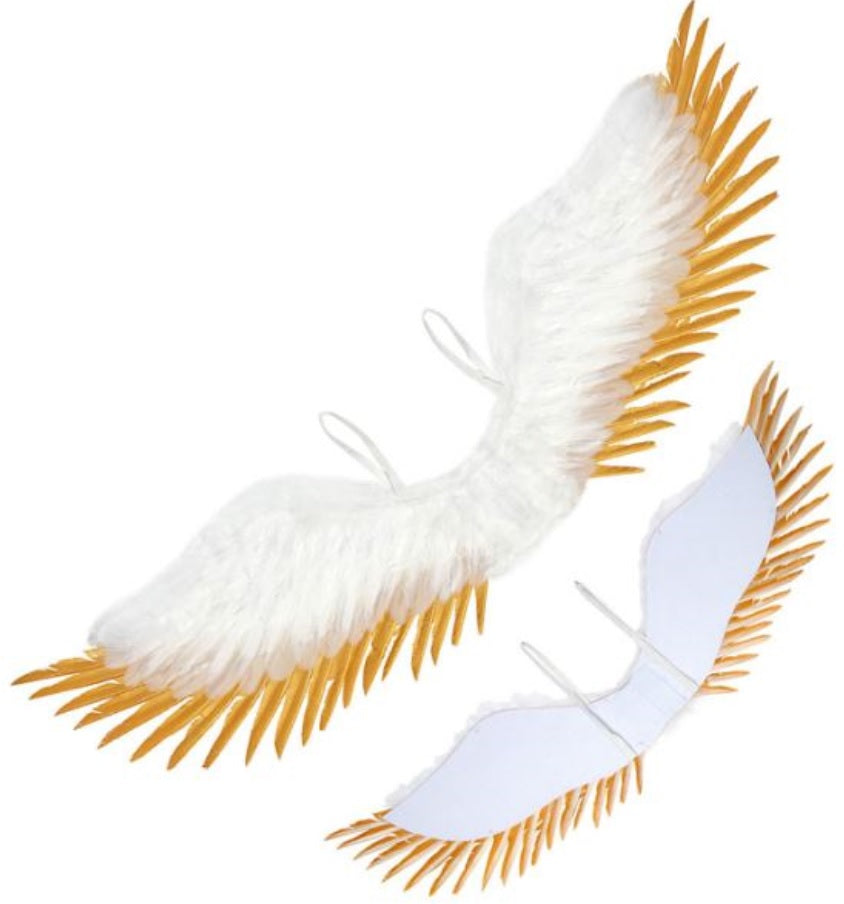 Cherubim Engelsflügel