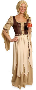 Aschenputtel Kostüm – Aschenbrödel Kleid