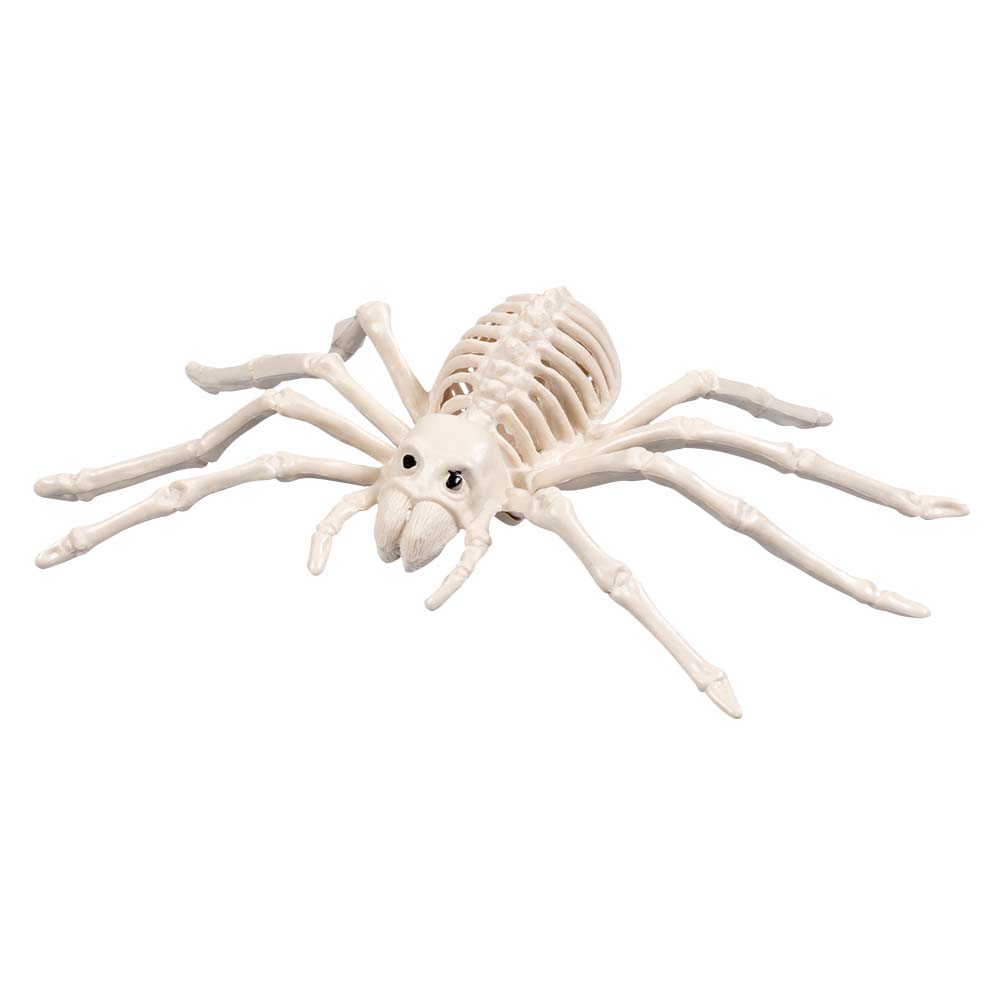 Skelett-Spinne – Halloween-Dekoration