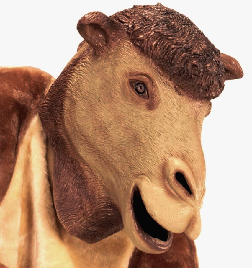 Kamel Maske für Erwachsene – Tiermaske