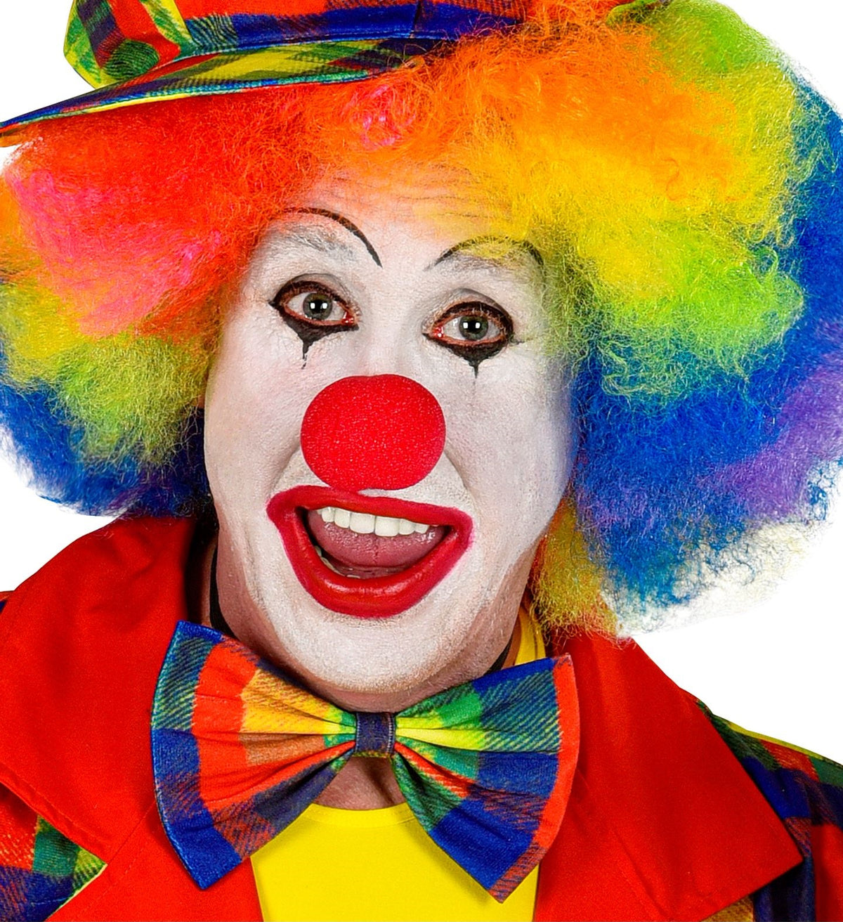 Clownfliege kariert