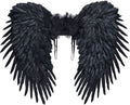Federflügel Dark Angel