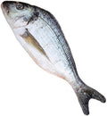 Fisch Dekoration – Wolfsbarsch & Forelle