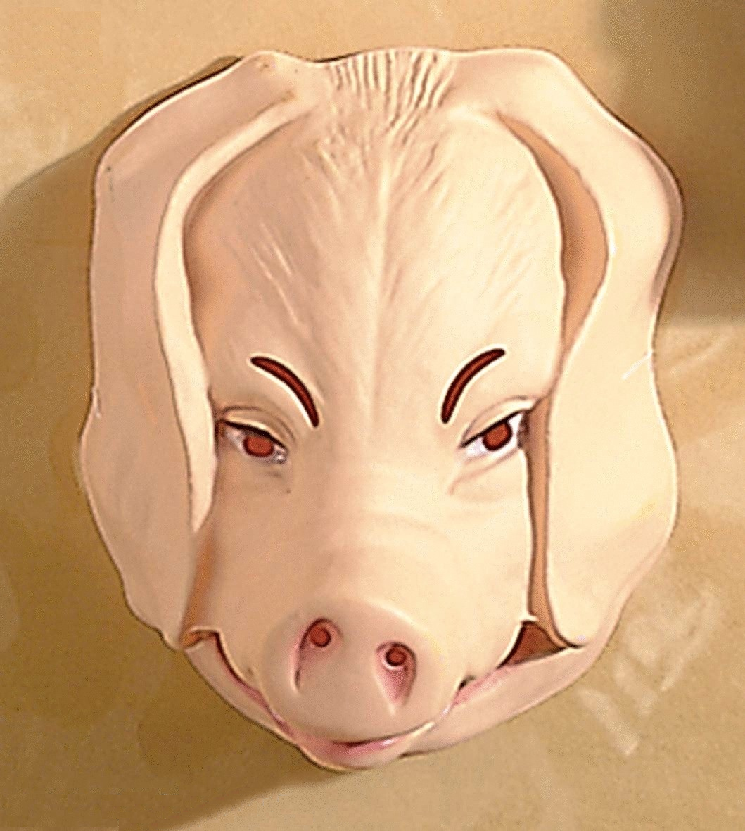 Schweinemaske für Erwachsene – Bauernhof