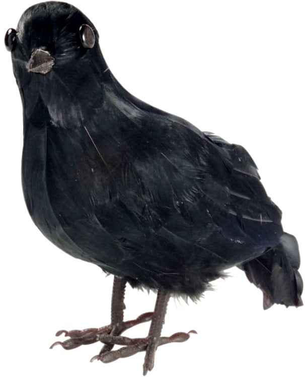 Grosse Krähe – Vogelscheuche und Halloween Deko
