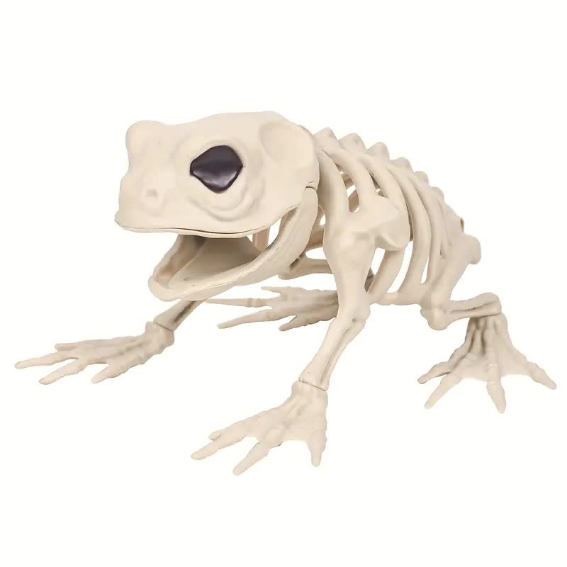 Frosch Skelett – Halloween Dekoration