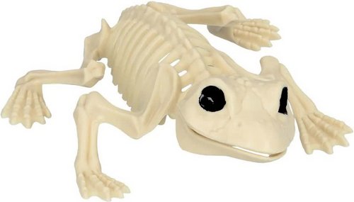 Frosch Skelett – Halloween Deko