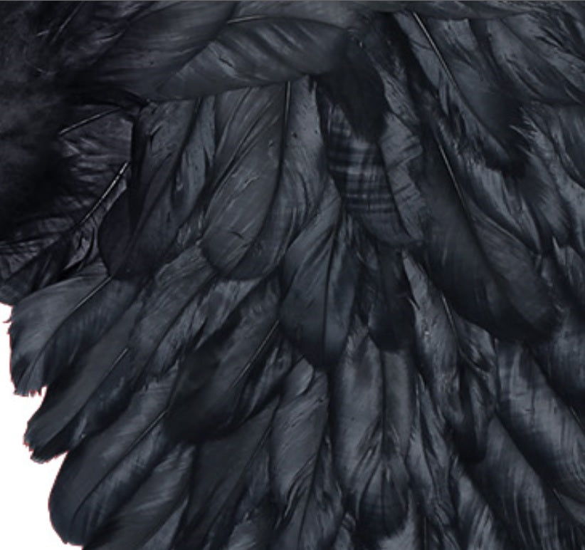 Federflügel Dark Angel