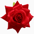 Rose Anstecker – Blume zum Anstecken