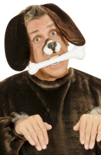Hundeohren auf Haarreif