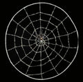 Spinnennetz mit Spinne – Halloween Deko