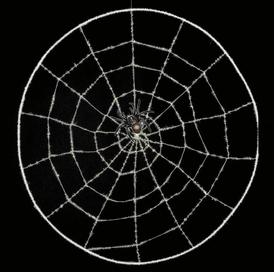 Spinnennetz mit Spinne – Halloween Deko