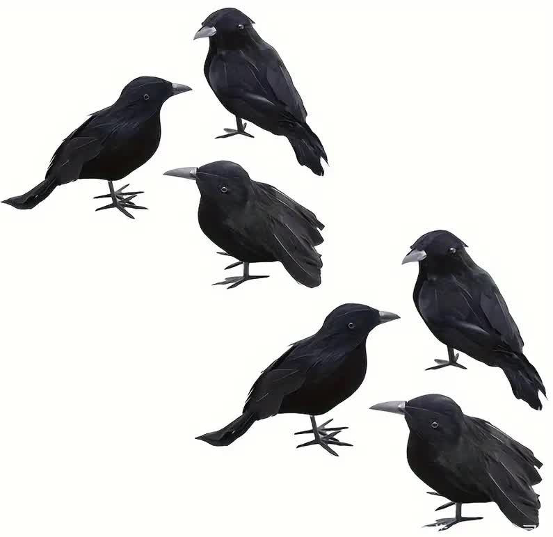 Kleine Krähe – Kostümzubehör und Halloween-Deko