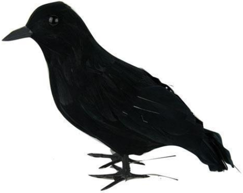 Grosse Krähe – Vogelscheuche und Halloween Deko
