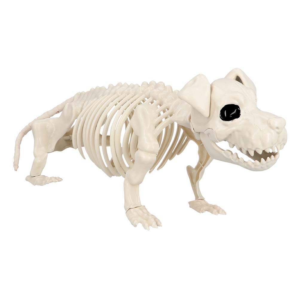 Skelett Hund – Halloween Deko