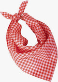 Halstuch für Oktoberfest und Western