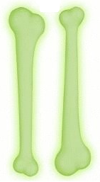 Knochen fluoreszierend – Glow in the Dark