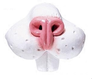 Hasennase für das Hasen-Kostüm