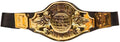 Championgürtel mit festem Material – Boxer und Wrestling