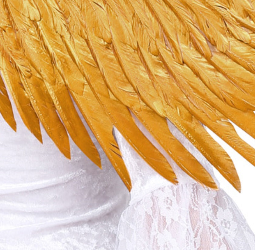 Cherubim Engelsflügel – Federflügel