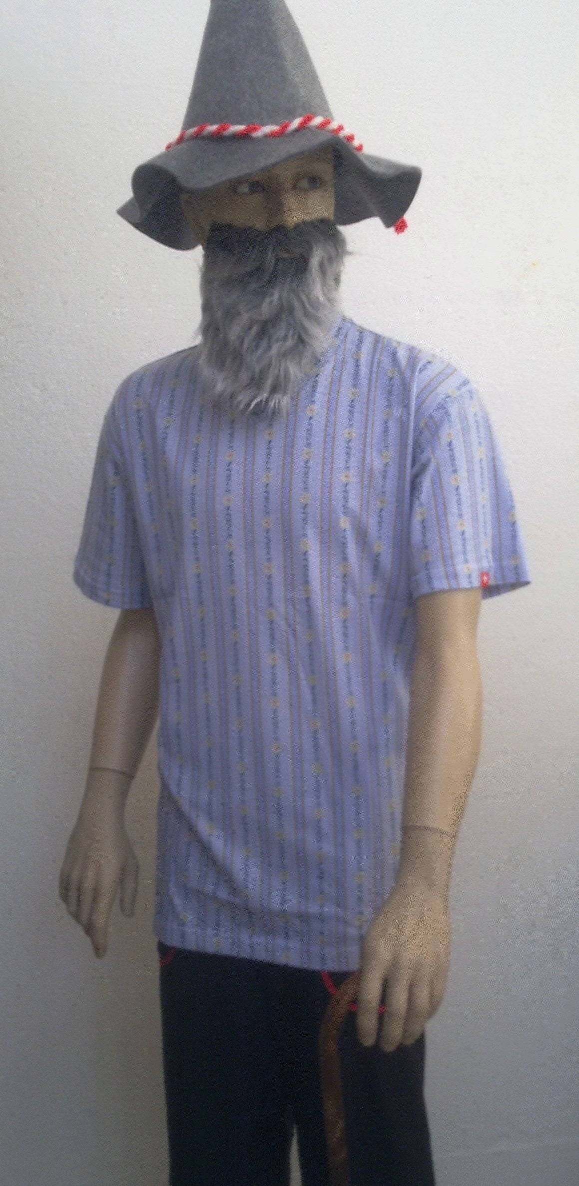 Edelweiss Shirt Herren – Typisch Schweizerisch