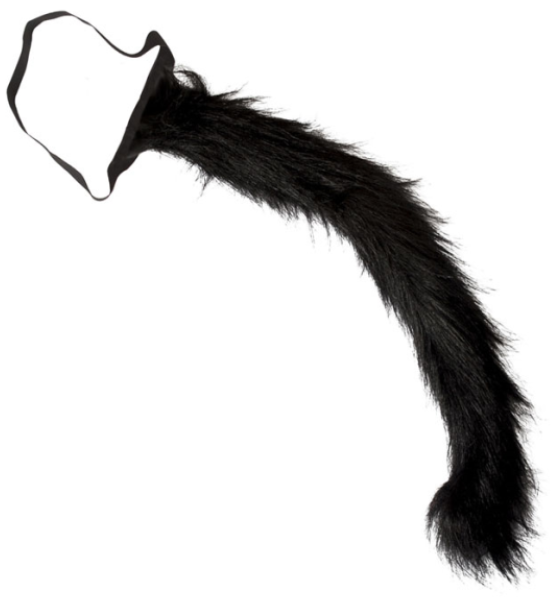 Katzenschwanz – Halloween Katze