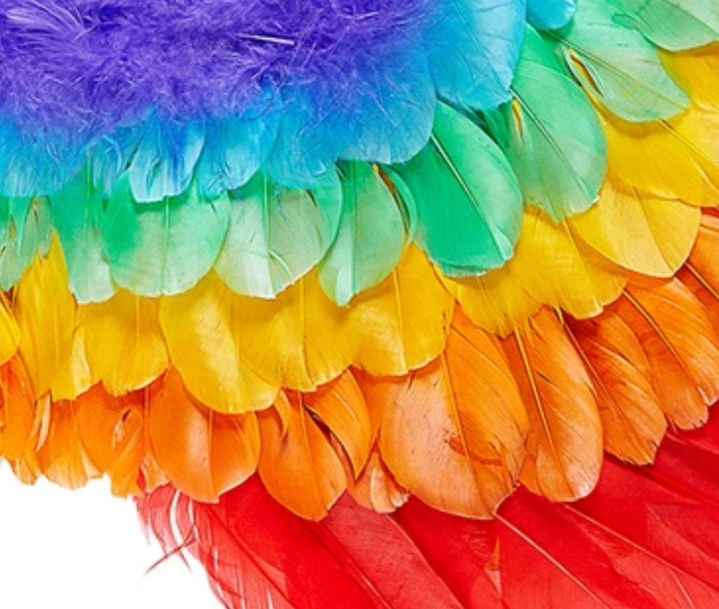 Pride Federflügel – Festival Flügel