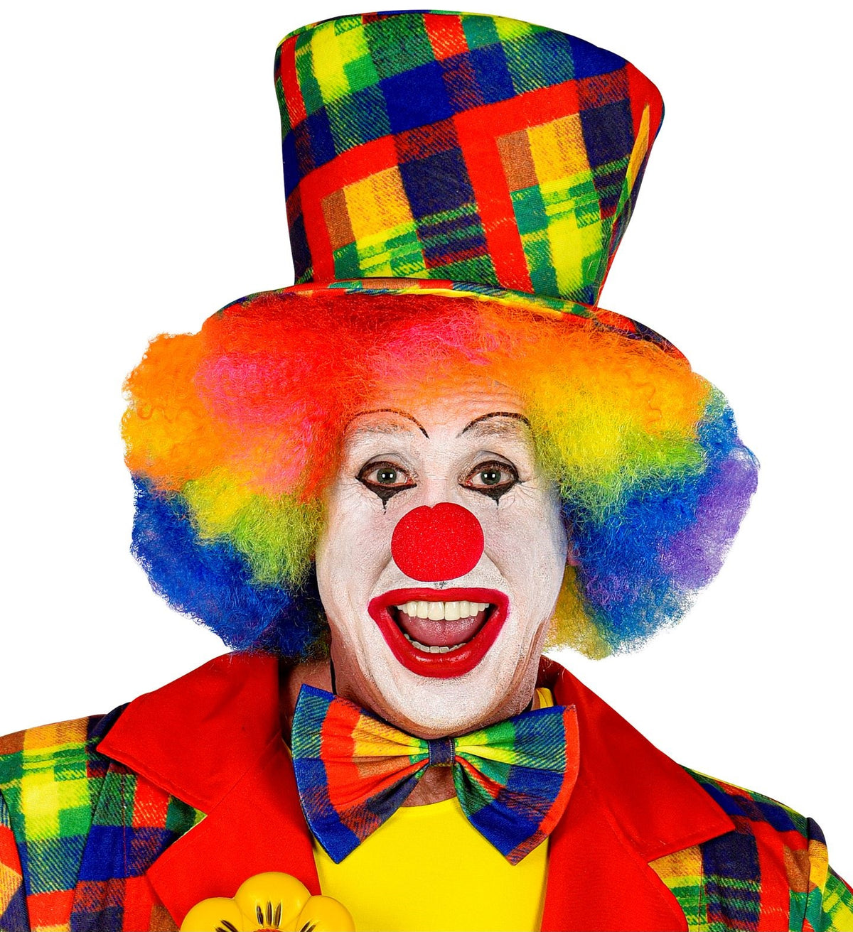 Clownfliege kariert