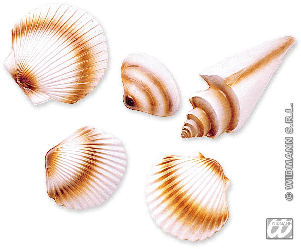 Muscheln Wanddekoration – Hawaii Deko