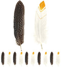 Federn für Indianer-, Voodoo- und Avatar-Kostüme