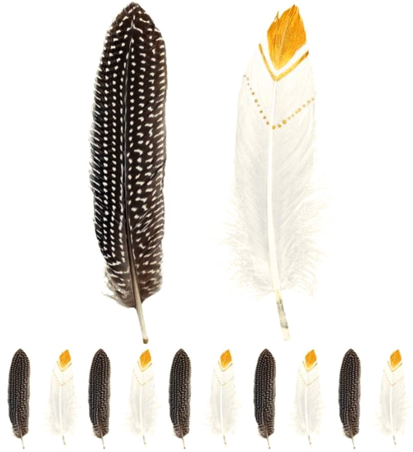 Federn für Indianer-, Voodoo- und Avatar-Kostüme