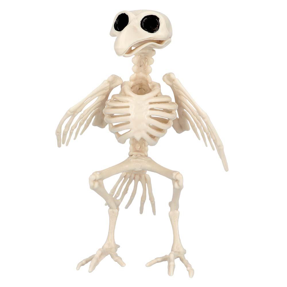 Vogel Skelett – Halloween Deko
