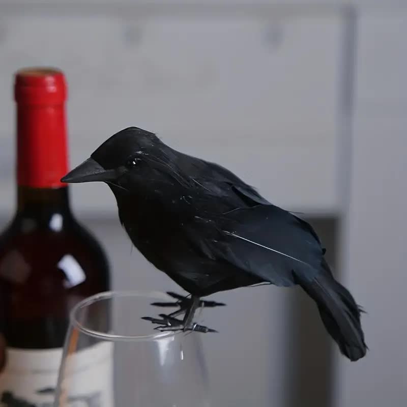 Kleine Krähe – Kostümzubehör und Halloween-Deko