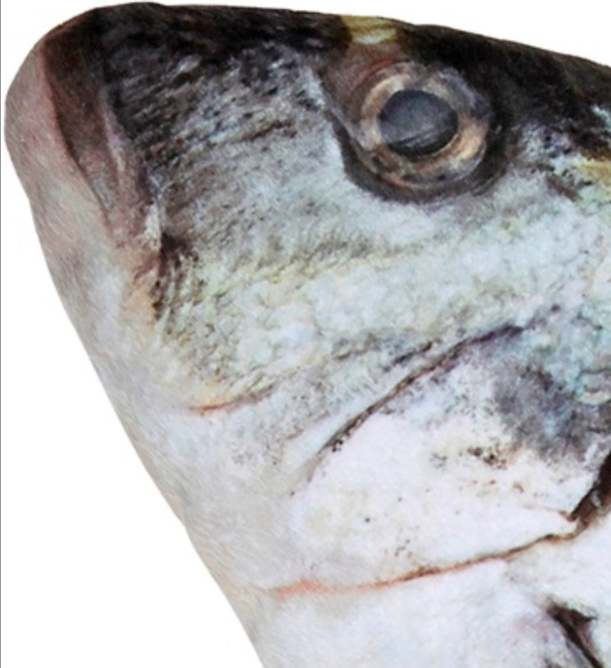 Fisch Dekoration – Wolfsbarsch & Forelle