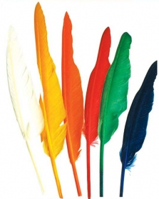 Indianer Federn – Feder Kopfschmuck