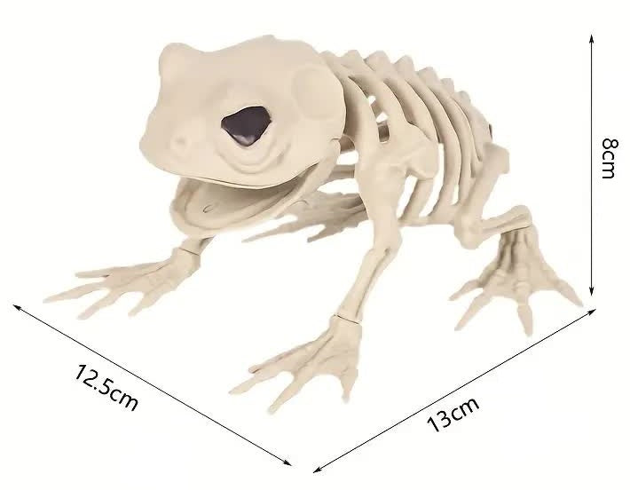 Frosch Skelett – Halloween Dekoration