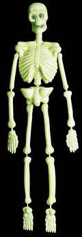 Skelett fluoreszierend – Halloween Deko
