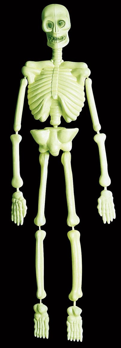 Skelett fluoreszierend – Halloween Deko
