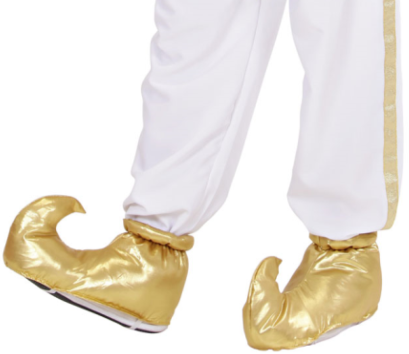 Aladdin Schuhe – Orient Schnabelschuhe