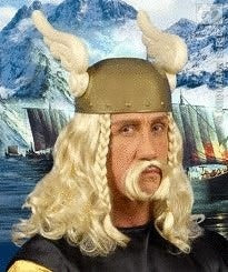 Asterix Perücke mit Schnauz – Gallier