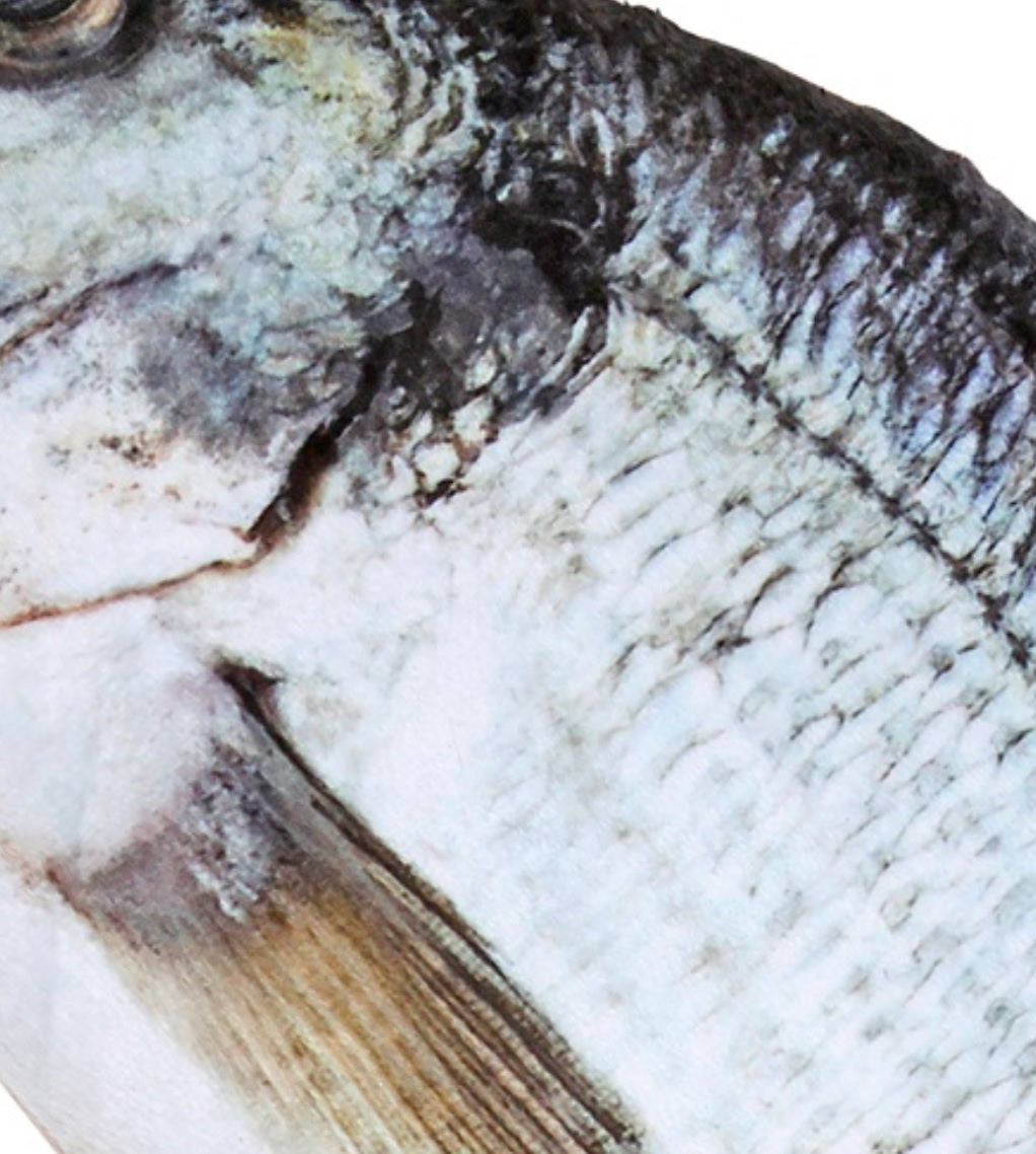 Fisch Dekoration – Wolfsbarsch & Forelle