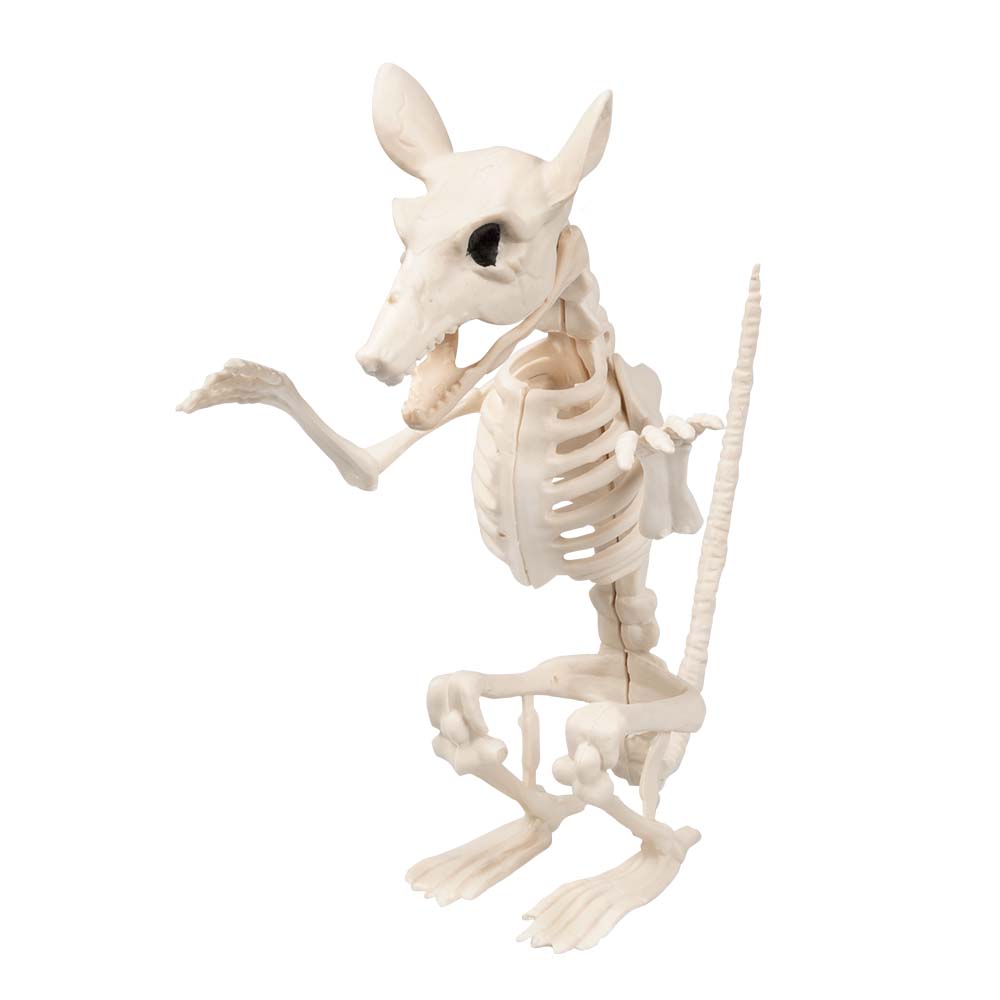 Ratten-Skelett aufrecht stehend – Halloween Deko