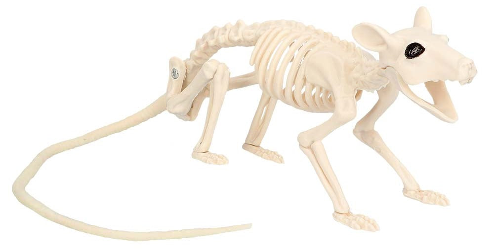 Ratten Skelett waagrecht – Halloween Dekoration