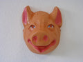 Schweinemaske für Kinder – Tiermaske