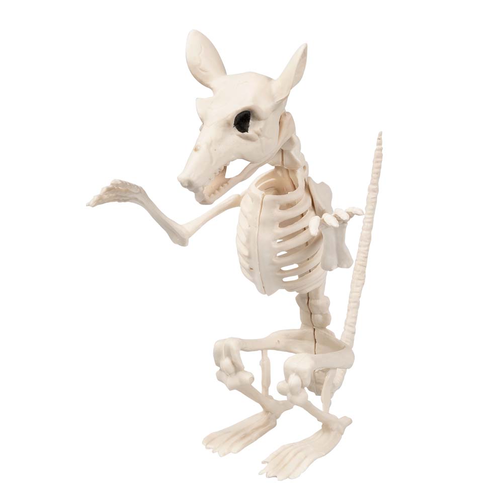 Ratten-Skelett aufrecht stehend – Halloween Deko