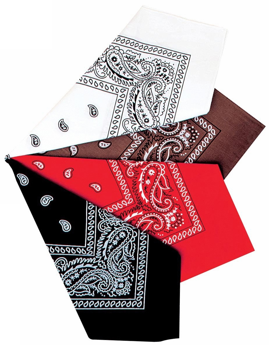 Western Halstuch – Cowboy Bandana Dalton