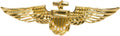 Piloten Abzeichen – Pilot Badge