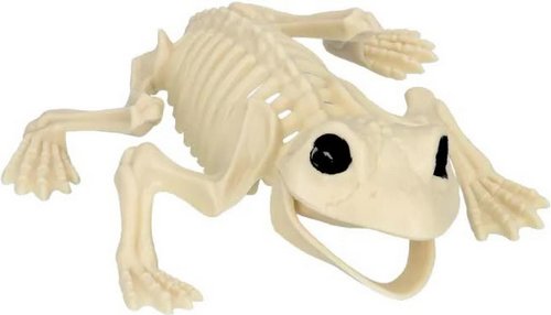 Frosch Skelett – Halloween Deko