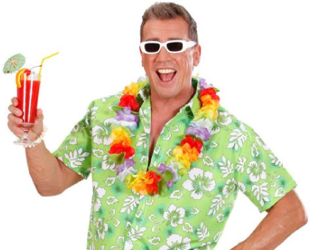 Show Brille – Sänger Partybrille